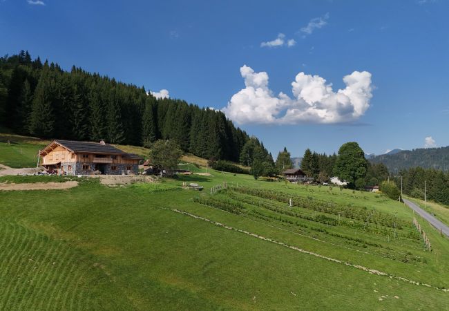 Chalet in Les Gets - Ferme du Bouchet - 12 pers - Les Gets Chalet in Les Gets - Ferme du Bouchet - 12 pers - Les Gets