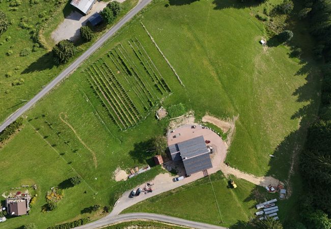 Chalet in Les Gets - Ferme du Bouchet - 12 pers - Les Gets Chalet in Les Gets - Ferme du Bouchet - 12 pers - Les Gets