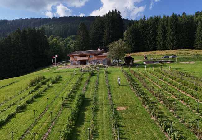 Chalet in Les Gets - Ferme du Bouchet - 12 pers - Les Gets Chalet in Les Gets - Ferme du Bouchet - 12 pers - Les Gets