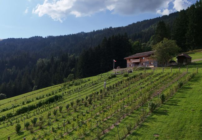 Chalet in Les Gets - Ferme du Bouchet - 12 pers - Les Gets Chalet in Les Gets - Ferme du Bouchet - 12 pers - Les Gets