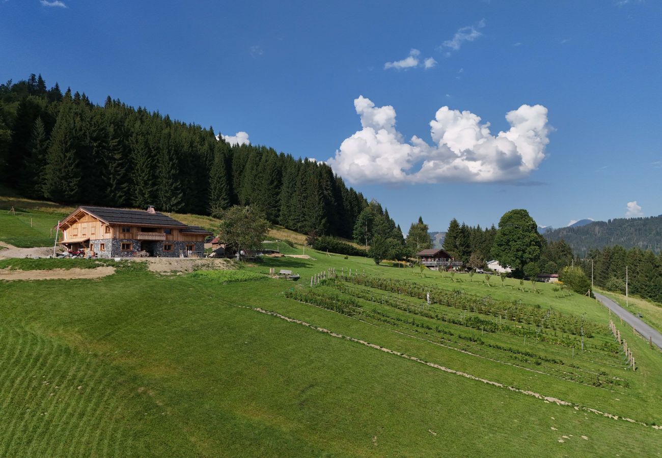 Chalet in Les Gets - Ferme du Bouchet - 12 pers - Les Gets Chalet in Les Gets - Ferme du Bouchet - 12 pers - Les Gets