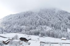 Chalet in Les Gets - Chalet Douglas - Les Gets - Les bossons