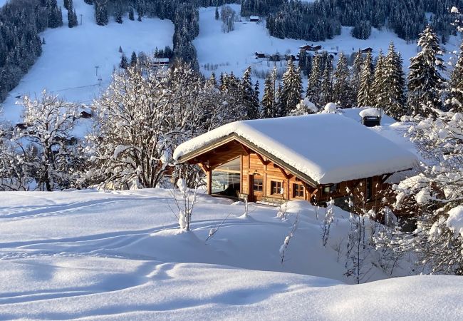 Chalet in Les Gets - Chalet Alpavi - Les Gets - ski in/out