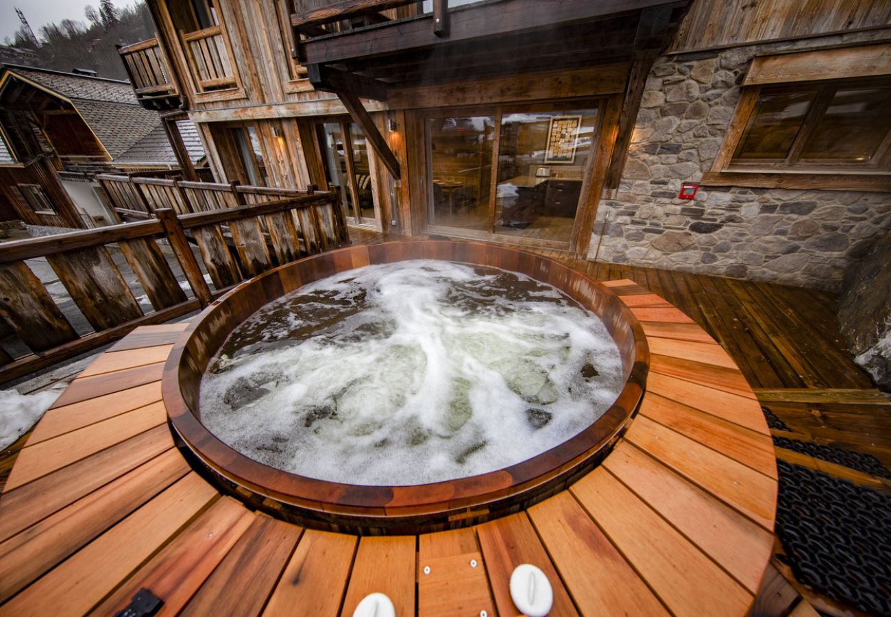 Appartement à Morzine - Vigneron - Morzine - secteur Planet Appartement à Morzine - Vigneron - Morzine - secteur Planet