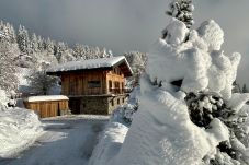 Chalet à Les Gets - Chalet Cagou - Les Gets - Vue Mont-Blanc